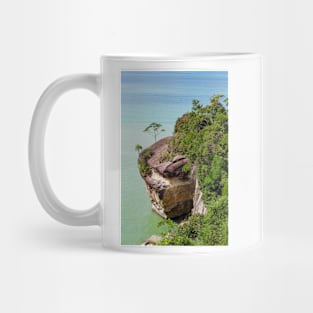 Cliff and trees at ocean shore landscape Mug